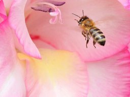 2023 art Contest &raquo; Pool_2