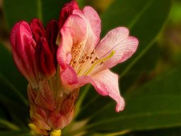 Images from 202 art contest